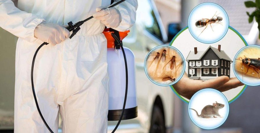 Bostanlı Böcek İlaçlama