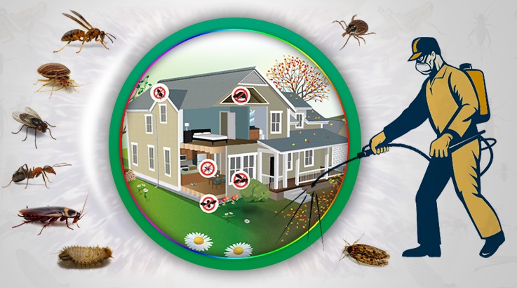 Bostanlı Böcek İlaçlama