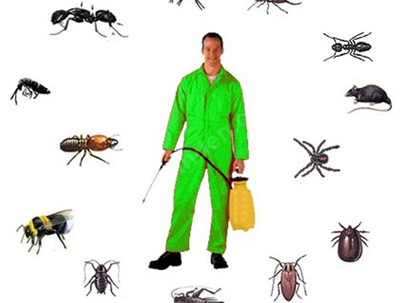 Bostanlı Böcek İlaçlama